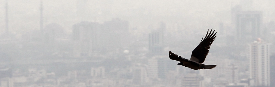 آلودگی هوا مقصر اصلی شایع ترین سرطان های کشور 